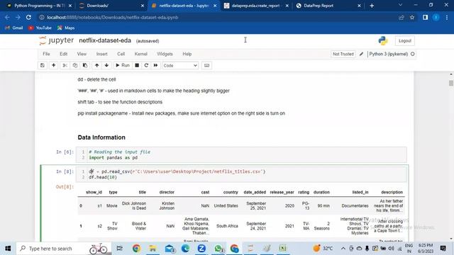 Data Analytics With Auto Data Visualization Python смотреть онлайн