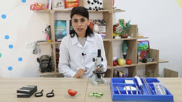 5-sinf biologiya fanidan 2- laboratoriya смотреть онлайн