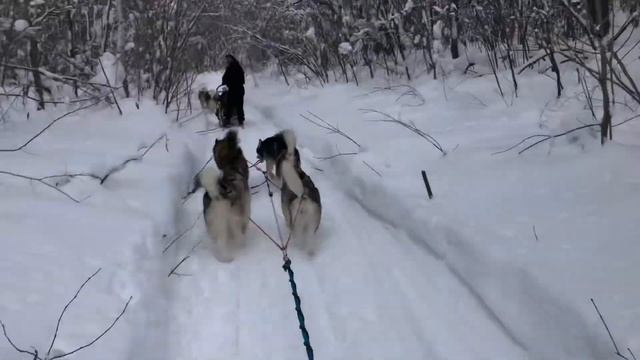 Поездка в Кармалы Ольги Саломатиной смотреть онлайн