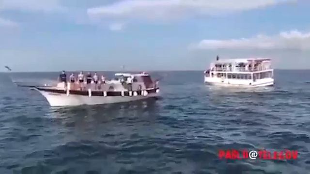 Патриарх приостановил свою молитву когда в мусульманском мечети прозвучил азан смотреть онлайн