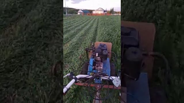 сенокос мотоблоком Нева мб2 с роторной косилкойй смотреть онлайн