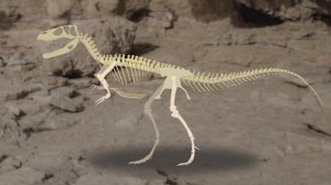 Dinosaur bone puzzle study 2 |What shape are dinosaur bones? |What did the dinosaurs eat?|공룡의 뼈를 찾아