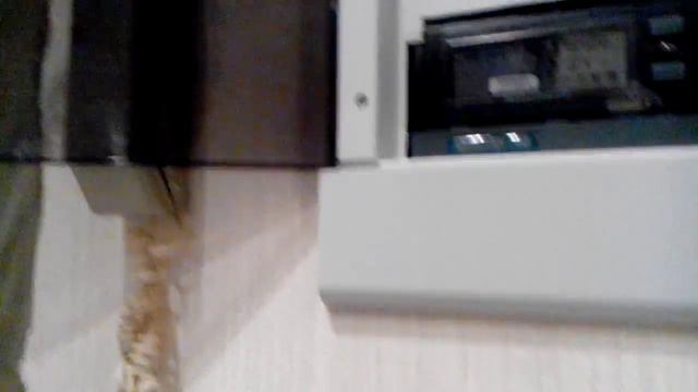 VID 20150723 200837 смотреть онлайн