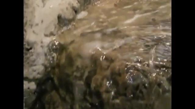 Фактурная отделка стен ниши смотреть онлайн