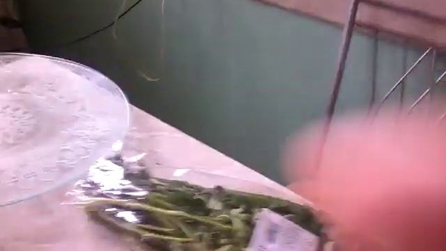 ЗАКУПЛЕННЫЕ ПОСТНЫЕ ПРОДУКТЫ и БОРЩ.