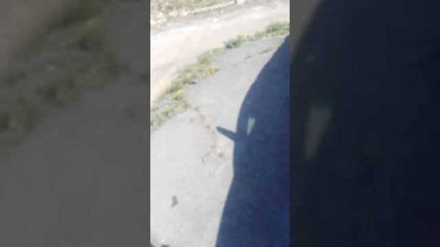 Самодиагностика ТОЙОТА ХАРРИЕР смотреть онлайн