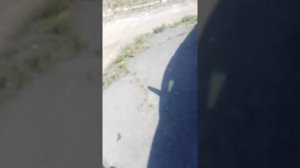 Самодиагностика ТОЙОТА ХАРРИЕР