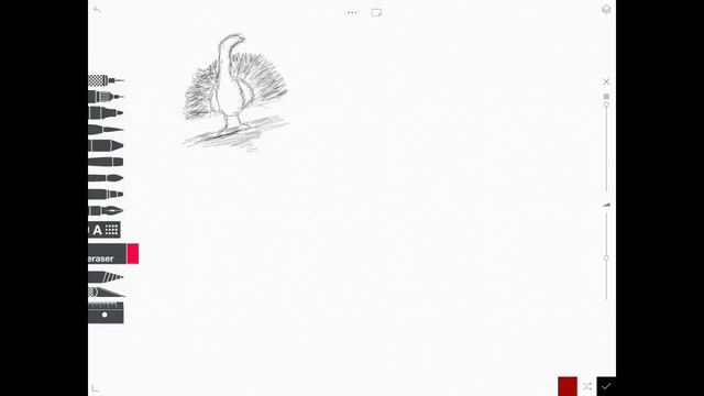 How to draw a turkey on iOS (sketches) смотреть онлайн