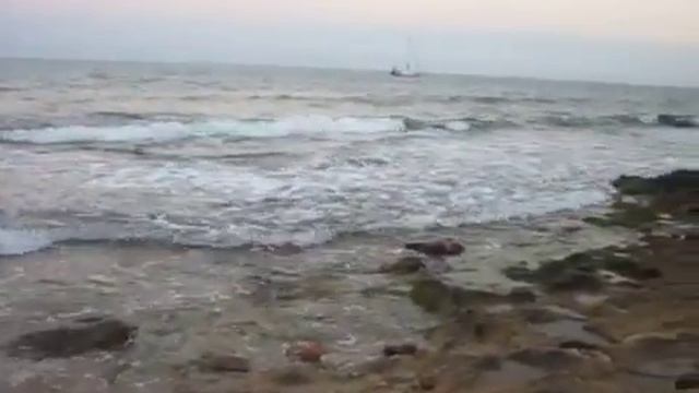 Торре смотреть онлайн