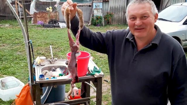 Кошка поймала зайца 2020 HD смотреть онлайн