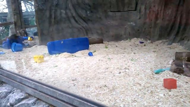 WP 20150131 11 54 42 Pro смотреть онлайн