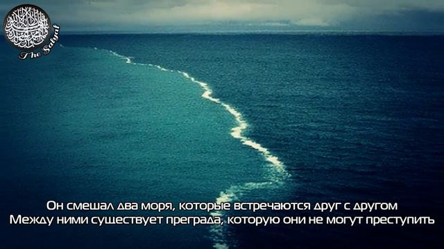 Сальман аль-Утайби - "Милостивый" смотреть онлайн