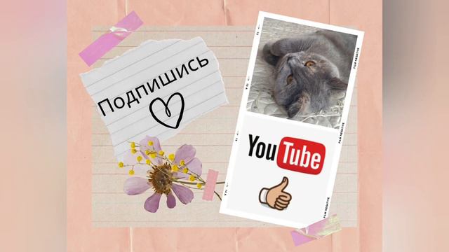 Влог: Я это сделала🤭 Распаковка вещей 🛍 День с нами 🤗 смотреть онлайн