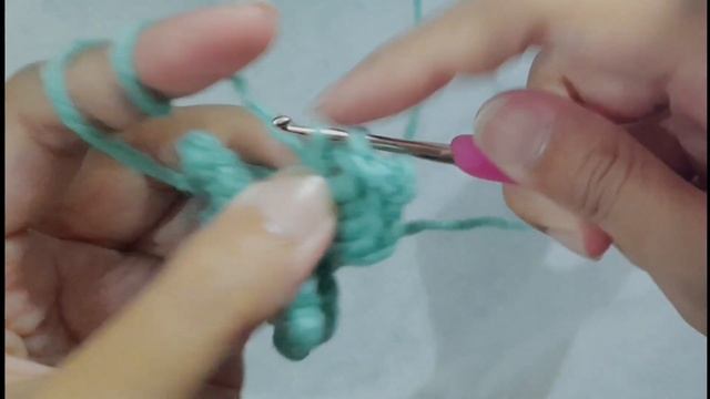 Achevia Succulent Cactus Pattern | Tutorial Amigurumi  Kaktus Achevia Succulent