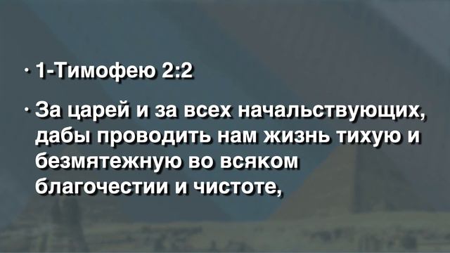 Они сказали: ты спас нам жизнь смотреть онлайн