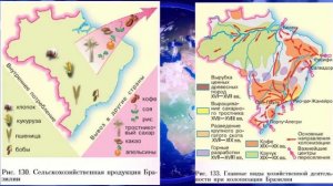 География 7кл. §39 "Бразилия"