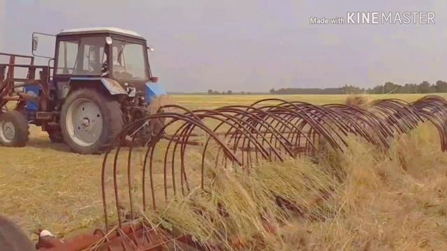 Сенокос 2019г. смотреть онлайн