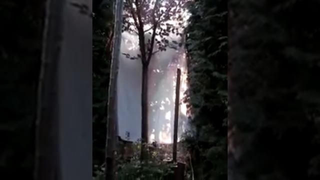 Сакура Канзан крупномер 1 смотреть онлайн