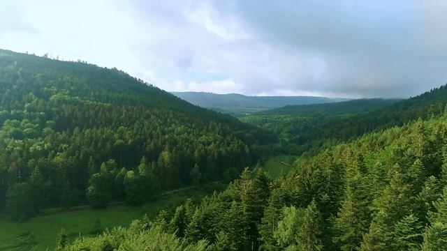 Лунный календарь комнатных растений на АПРЕЛЬ 2022. Благоприятные и неблагоприятные дни. смотреть онлайн