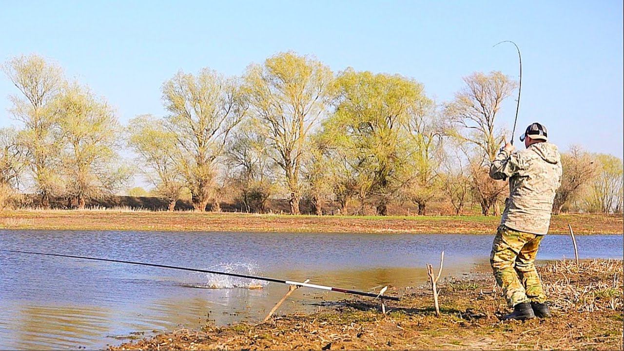 РЫБАЛКА НА САЗАНА И КАРАСЯ. На поплавок и донку. Отличный клёв. смотреть онлайн