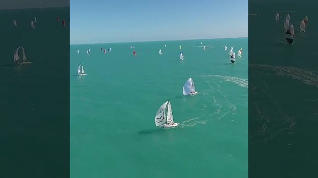 Регата Quantum Racing - J 70 in Timelapse! Key West Colours смотреть онлайн