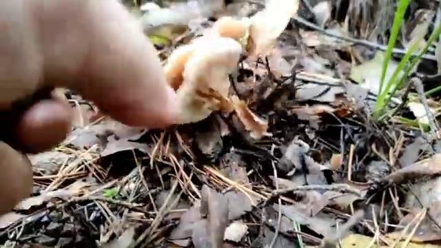 Секреты Творческой Энергии