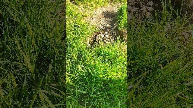 Саблинский памятник природы ЧАСТЬ 3 смотреть онлайн