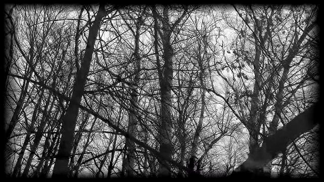 Letargy - Дремота