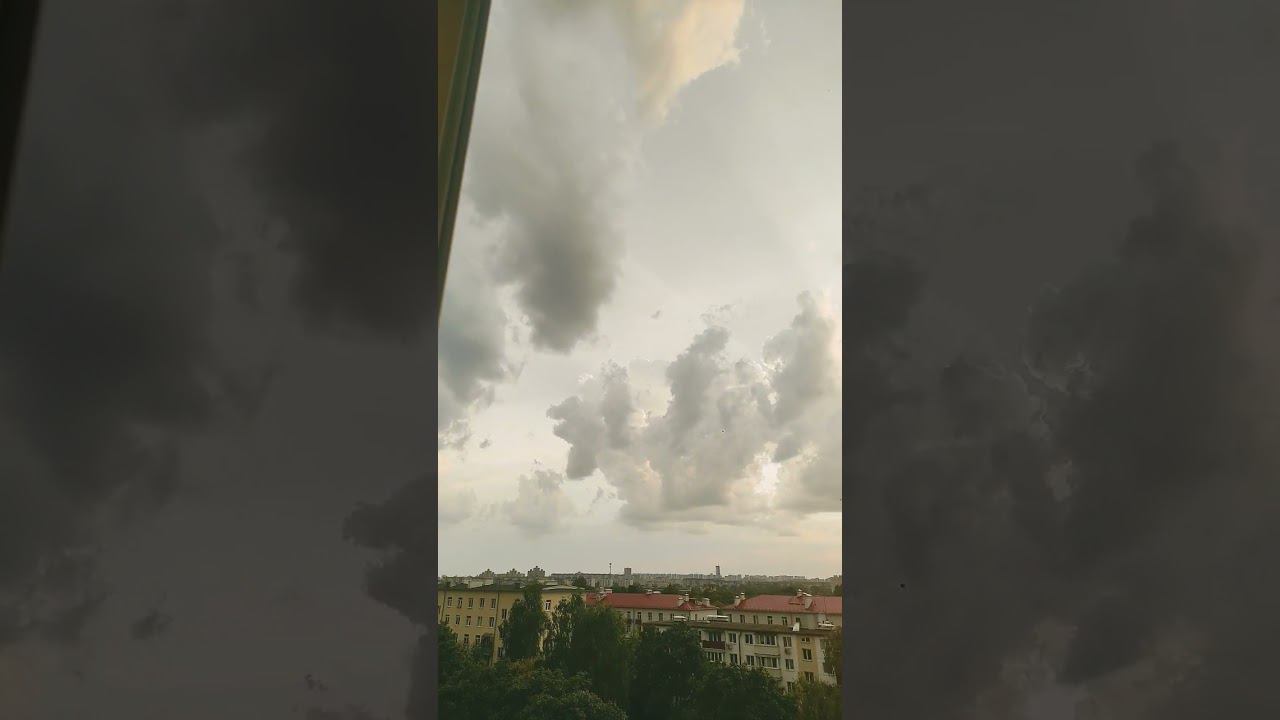 respect 2108241957 #asmr #pets #sunset #nature смотреть онлайн