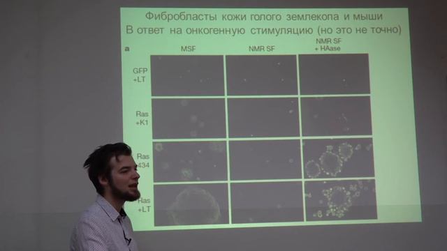 Механизмы долголетия голого землекопа смотреть онлайн