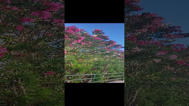 ✔️💯🇨🇳🇷🇺🇨🇳💯✔️