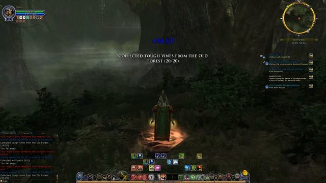 Lord of the Rings Online Shadow of Angmar 2019.07.25 - 18.17.58.01 смотреть онлайн
