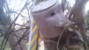 иж 38 с оптикой отстрел