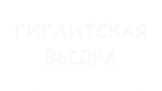 Охотники на пираний смотреть онлайн