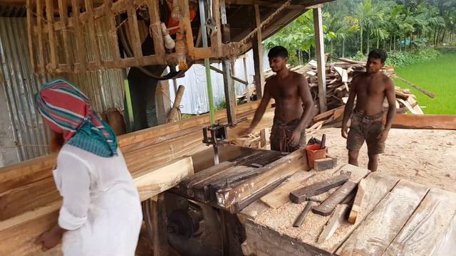 Toughest Wood Cutting Dangerous Ways।Logging Mill Cutting Wood Dangerous & Strength Way смотреть онлайн
