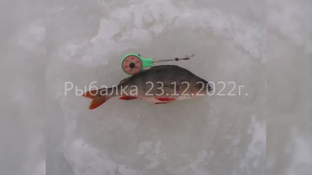 Оттепель в декабре (1)! Рыбалка 23.12.2022г.