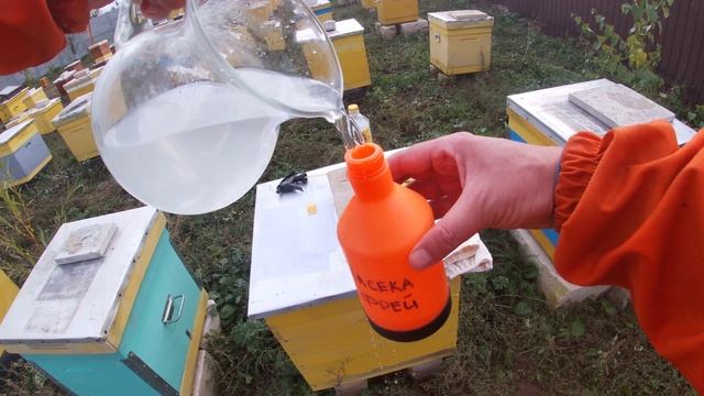 Обработка пчел щавелевой кислотой смотреть онлайн