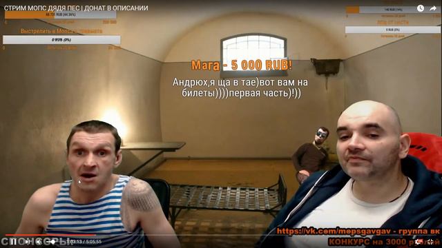 МОМЕНТ СО СТРИМА МОПСА смотреть онлайн