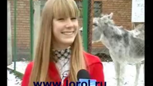 Осел испортил интервью...flv смотреть онлайн