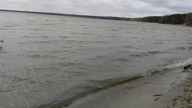 Оз. Нарочь, Беларусь. Пятница, 13 марта 2020 г. смотреть онлайн