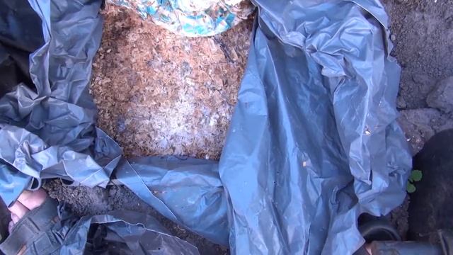 Грибы. Гриб. Вешенки в ящиках/ Просто и полезно.Грибная грядка. Огород.Сад. Своими руками. смотреть онлайн