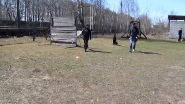 УС 27.04.2014г. г.Городец Поляшова Александра и доберман Ночной Рыцарь смотреть онлайн