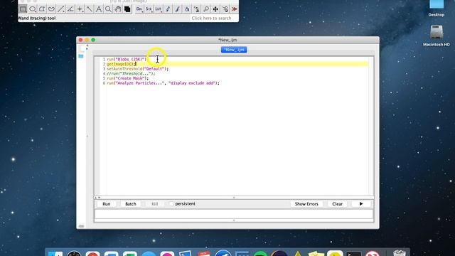 ImageJ/Fiji - The Script Editor смотреть онлайн