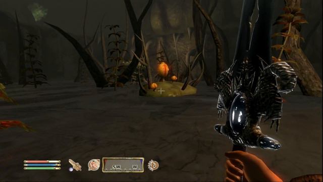 Elder Scrolls 6 in VIRTUAL REALITY - Will it Happen?! смотреть онлайн