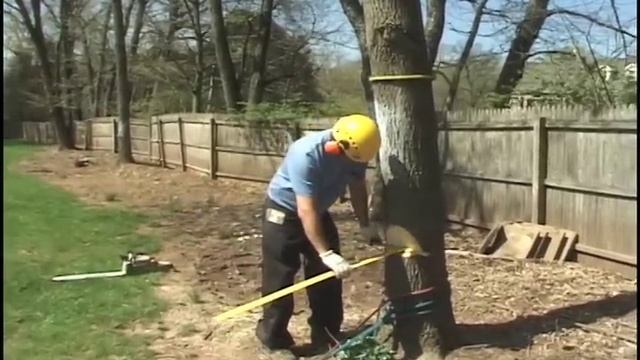 Tree Falling: Directional Steering with the Back Cut смотреть онлайн