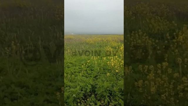 Уничтожение бронетехники НАТО глазами расчета ПТУР 58 армии Расчетом ПТРК «Корнет» уничтожен очеред смотреть онлайн