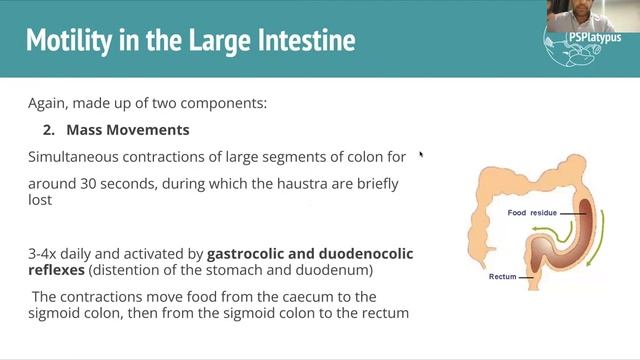 GIT Motility смотреть онлайн