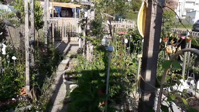 Mon Jardin vu par Hubert 2019 смотреть онлайн