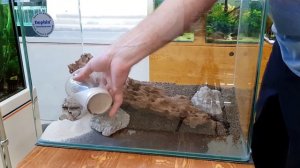 Оформление аквариума на 60л