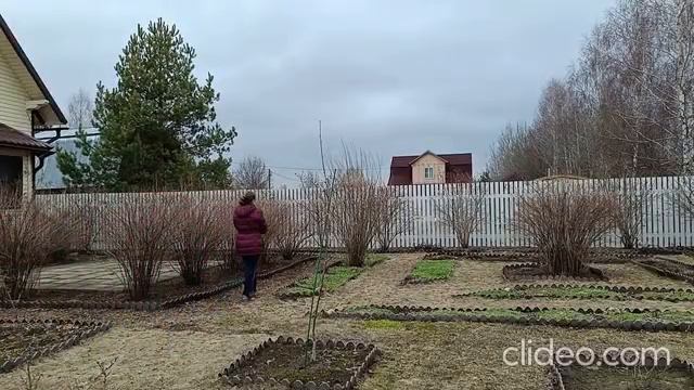Начало дачного сезона смотреть онлайн